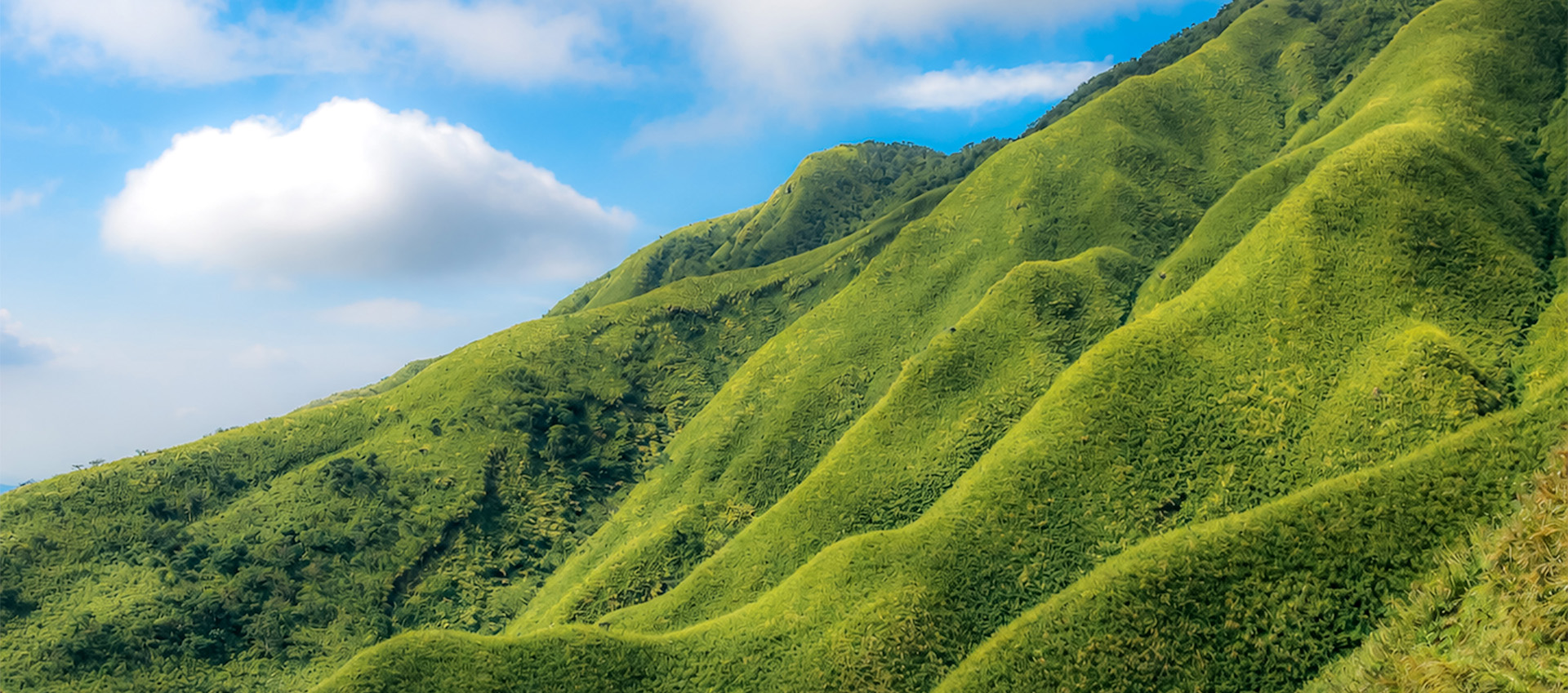 抹茶山・聖母山莊