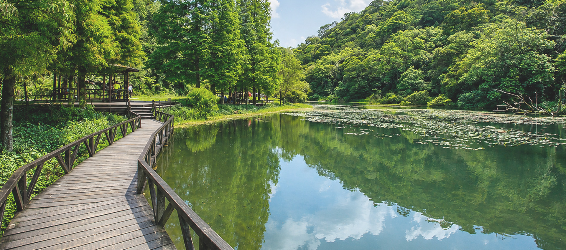 福山植物園森林步道的原始林相