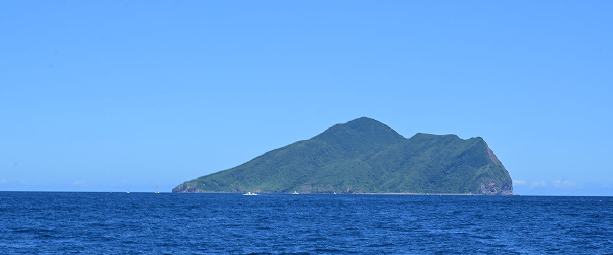 龜山島海域賞鯨船與海豚躍出海面