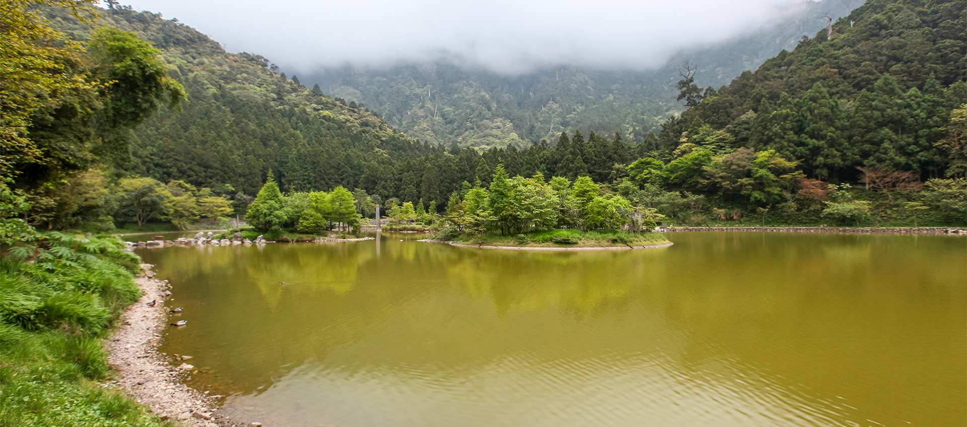明池霧林｜山嵐說來就來