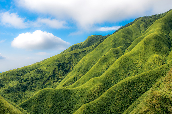 抹茶山・聖母山莊