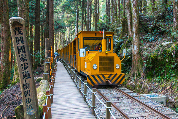 太平山國家森林遊樂區