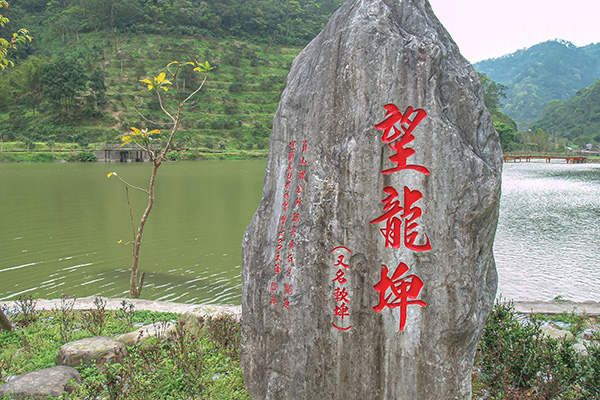 望龍埤