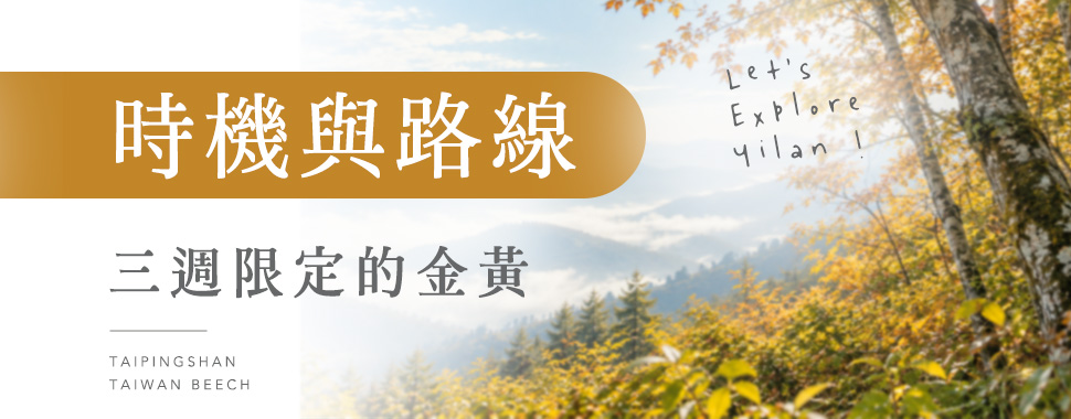 時機與路線：三週限定的金黃