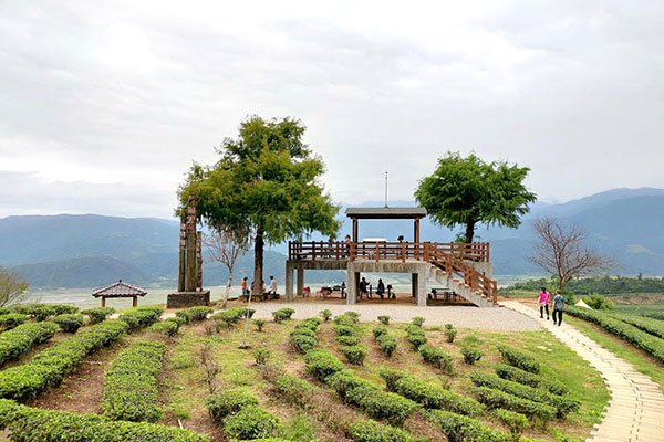 玉蘭村茶園景觀與依茶山而建的民宿