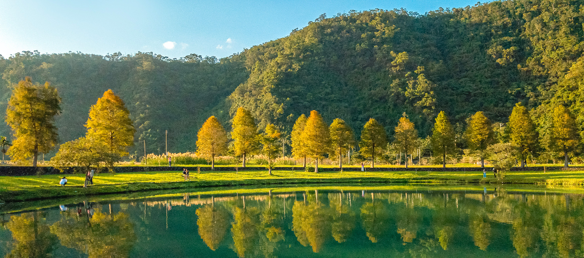 員山田園｜湧泉與落羽松之鄉
