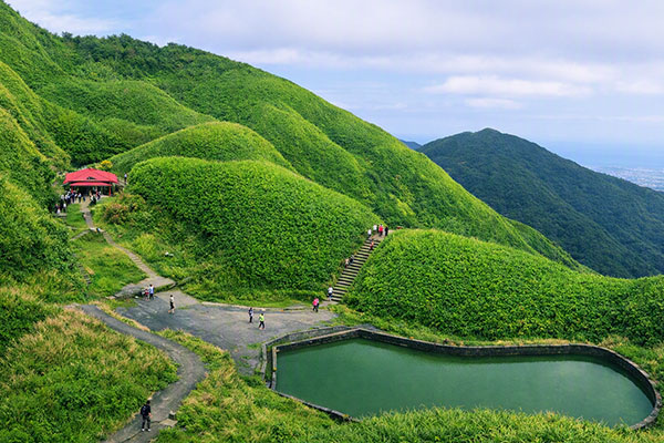 抹茶山｜綠意盎然的健行聖地