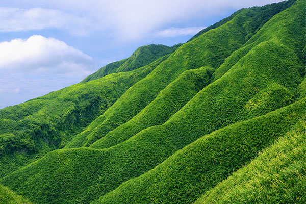 抹茶山｜綠意盎然的健行聖地