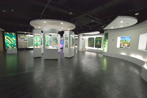 蘭陽博物館單面山建築與室內展區